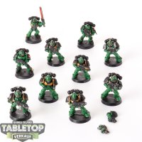 Salamanders - 10 x Tactical Squad klassisch - teilweise...