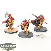 Stormcast Eternals - 3 Praetors - teilweise bemalt