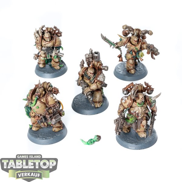 Death Guard - 5x Plague Marines - bemalt