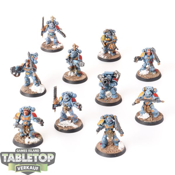 Space Wolves - 10x Grey Hunters - bemalt