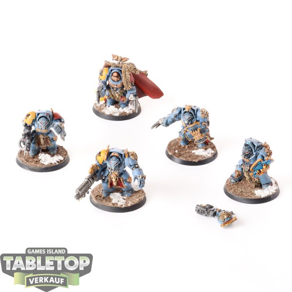 Space Wolves - 5x Wolf Guard Terminators - bemalt