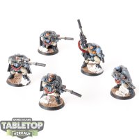 Space Marines - 5x Scouts (Classic) - bemalt