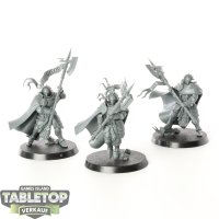 Stormcast Eternals - 3x Praetors - unbemalt