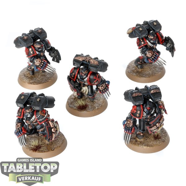 Black Templars - 5x Vanguard Veteran Squad - bemalt