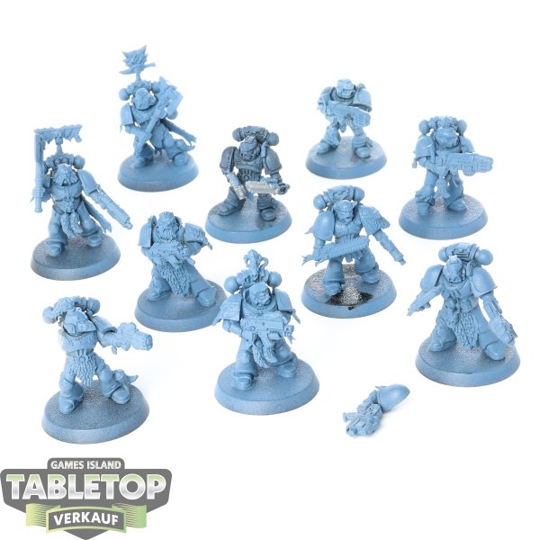 Space Wolves - 10 Grey Hunters - grundiert