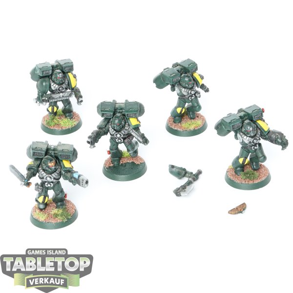 Imperial Fists -  5 x Assault Squad klassisch - bemalt