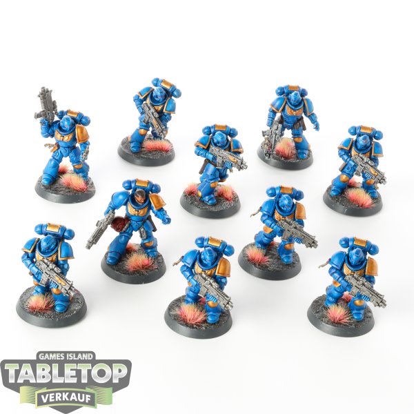 Space Marines - 10 x Primaris Intercessors - bemalt