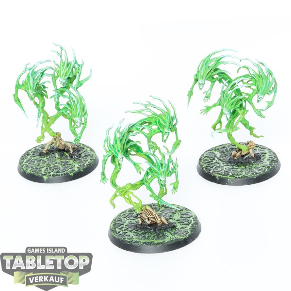 Nighthaunt - 3 Spirit Hosts - bemalt