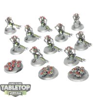 Necrons - 10x Necron Warriors & 3x Scarabs - bemalt