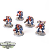 Space Marines - 5 x Terminator Squad klassisch - bemalt