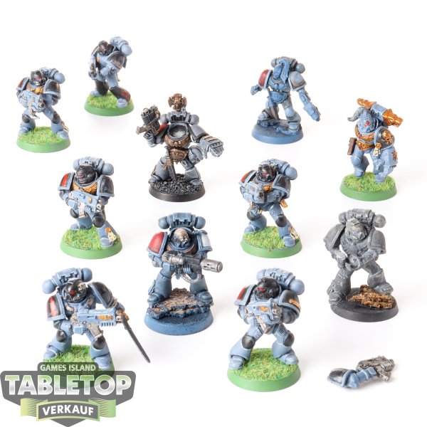 Space Wolves - 11 Grey Hunters - teilweise bemalt