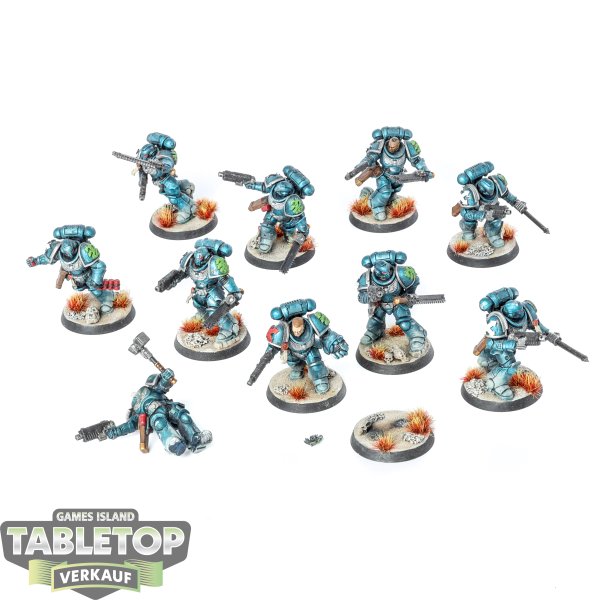 Space Marines - 10 - Assault Intercessors - bemalt