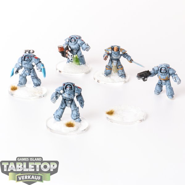 Horus Heresy - 5 x Space Wolf Legion Tartaros Terminator Squad - bemalt