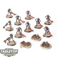 Necrons - 10 x Necron Warriors & 3 x Scarabs  - bemalt