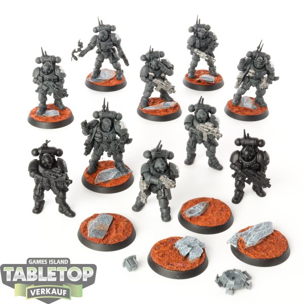 Raven Guard - 10 Primaris Infiltrators - teilweise bemalt