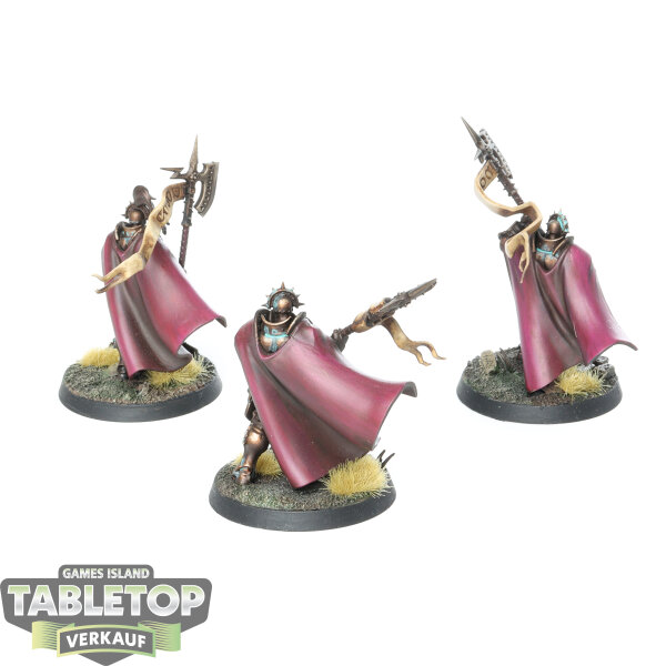 Stormcast Eternals - 3 x Praetors - gut bemalt