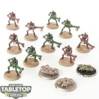 Necrons - 10 x Necron Warriors & 3 x Scarabs  - bemalt