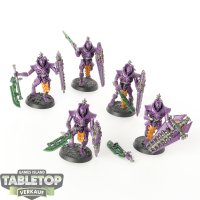 Necrons - 5 x Lychguard - bemalt