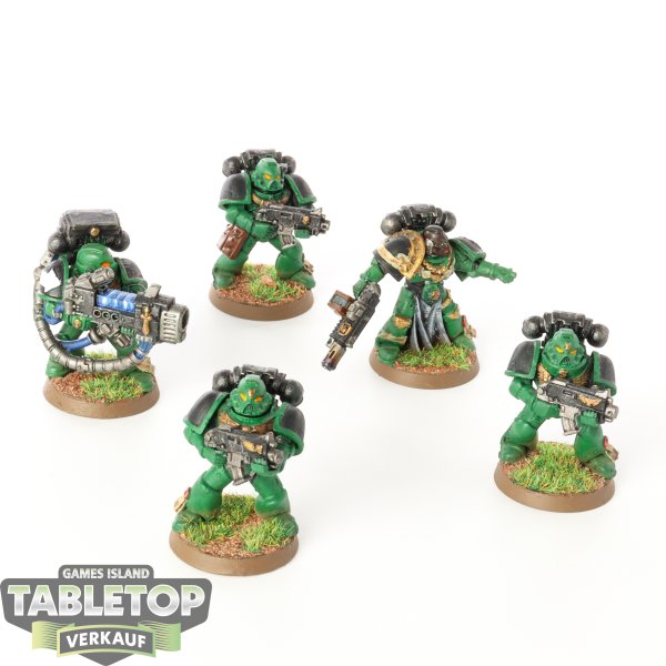 Space Marines - 5 x Tactical Squad klassisch - bemalt