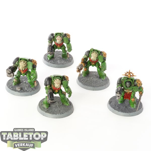 Space Marines - 5x Terminators - klassisch - bemalt