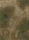 GameMat.eu - 44"x60" Age of Sigmar G-Mat: Lost World