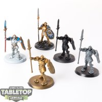 Stormcast Eternals - 5 x Vindictors - teilweise bemalt