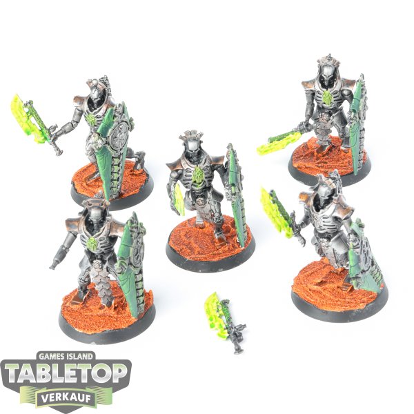 Necrons - 5 Lychguard - bemalt