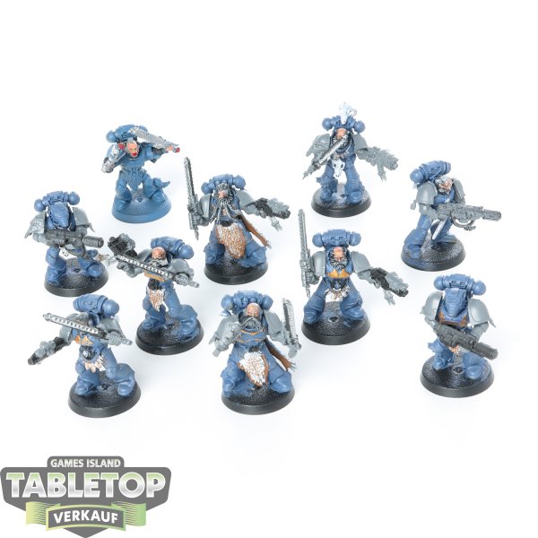 Space Wolves - 10 x Grey Hunters - teilweise bemalt