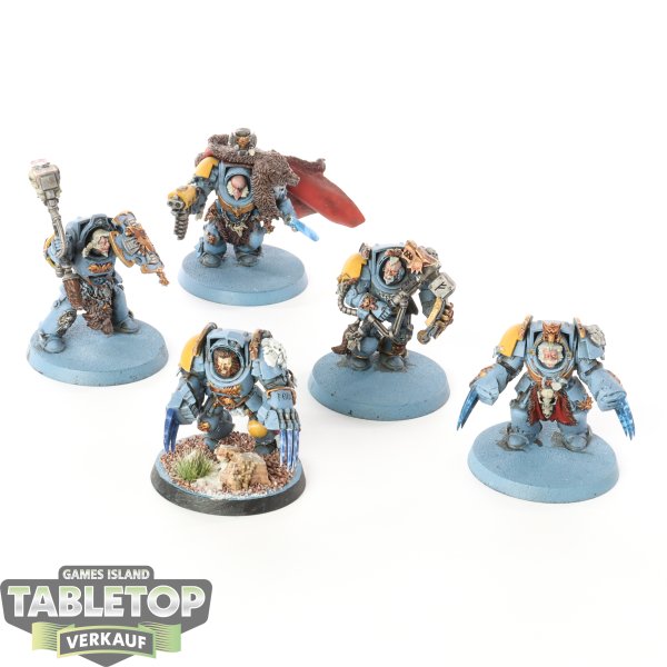 Space Wolves - 5 x Wolf Guard Terminators - bemalt