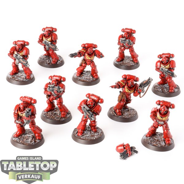 Space Marines - 10 x Primaris Intercessors - bemalt