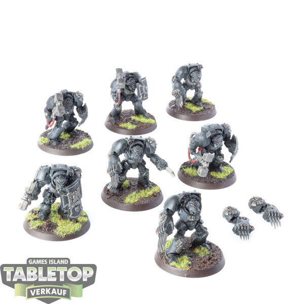 Space Marines - 7 Assault Terminators - bemalt