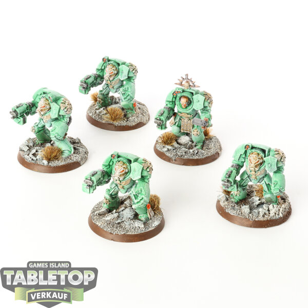 Space Marines - 5x Terminators - klassisch - bemalt