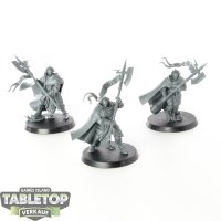 Stormcast Eternals - 3x Praetors - unbemalt