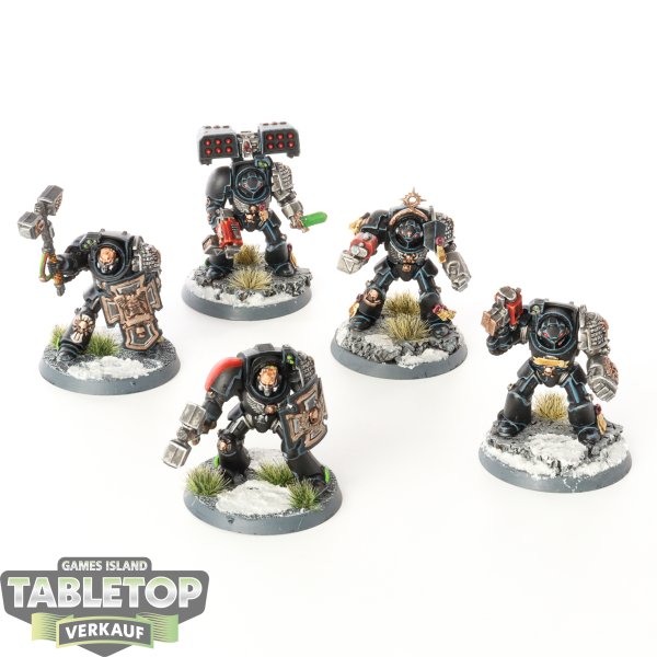 Deathwatch - 5x Terminator Assault Squad - bemalt