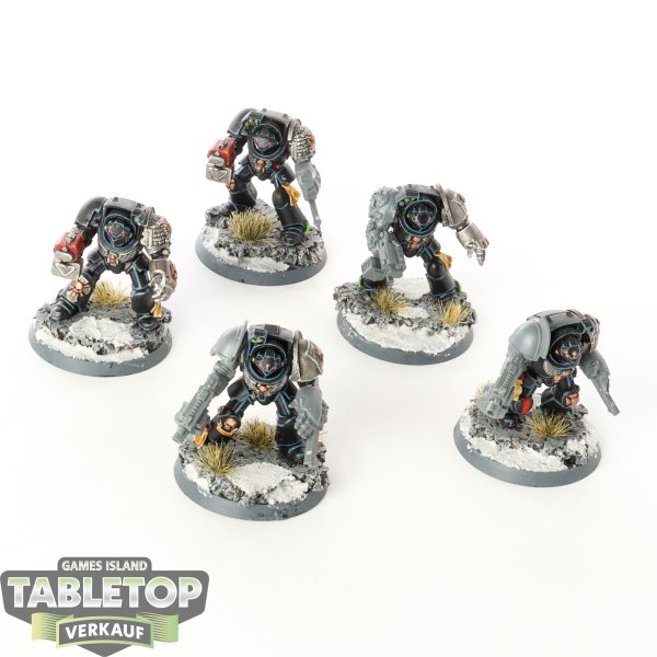 Deathwatch - 5x Terminator Assault Squad - teilweise bemalt