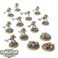 Necrons - 10x Necron Warriors & 3x Scarab - bemalt