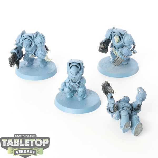 Space Wolves - 4 x Wolf Guard Terminators - teilweise bemalt