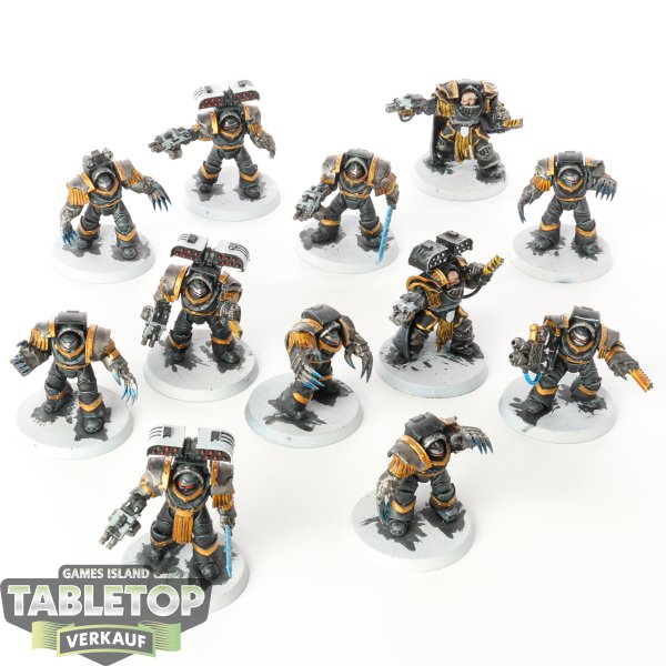 Horus Heresy - 12 Cataphractii Terminators - bemalt