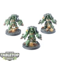 Salamanders - 3 x Primaris Aggressors - bemalt