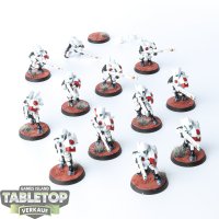 Tau Empire - 12 Fire Warriors - bemalt
