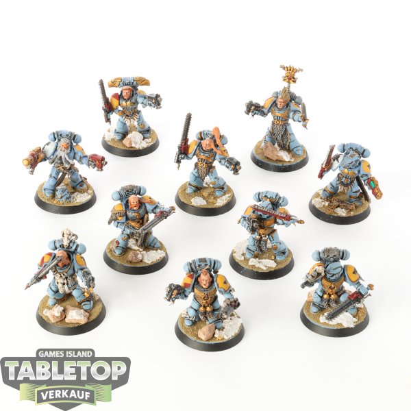 Space Wolves - 10 Grey Hunters - bemalt