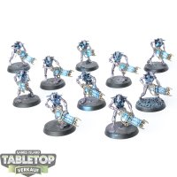 Necrons - 10 x Necron Warriors - bemalt