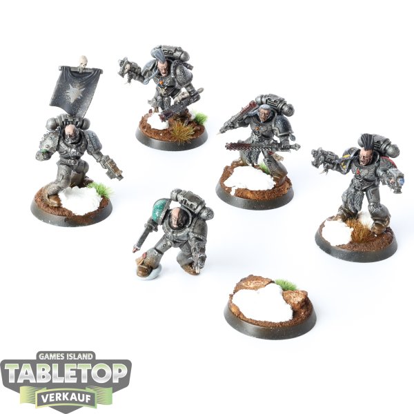 Space Wolves - 5 x Grey Hunters - bemalt