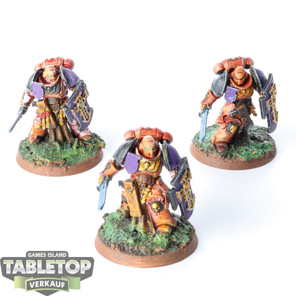 Space Marines - 3 Bladeguard Veterans - bemalt