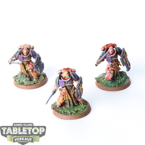 Space Marines - 3 Bladeguard Veterans - bemalt