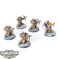 Stormcast Eternals - 5 Castigators - bemalt