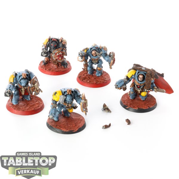 Space Wolves - 5 Wolf Guard Terminators - bemalt