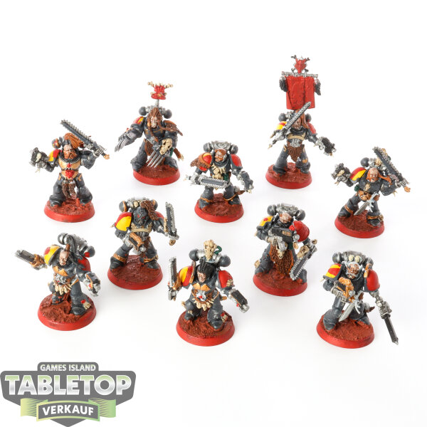 Space Wolves - 10 Grey Hunters - bemalt