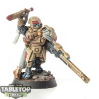 Tau Empire - Cadre Fireblade - bemalt