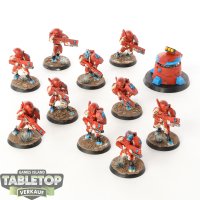 Tau Empire - 10 x Fire Warriors Strike Team - bemalt